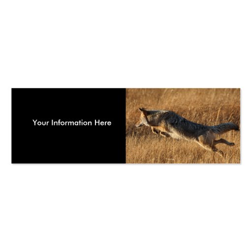 profile or business card, coyote jumping (front side)