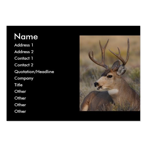 profile or business card, deer (front side)