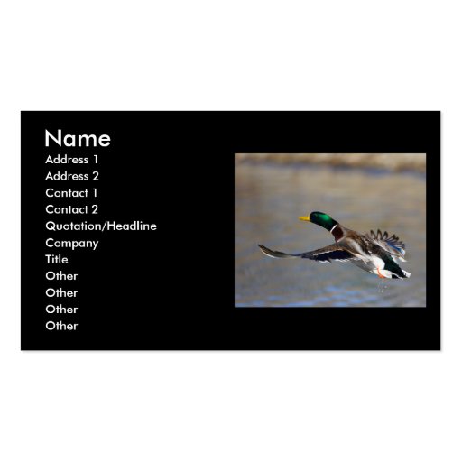 profile or business card, duck