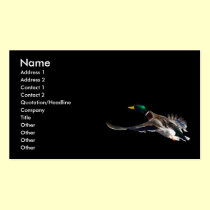 profile or business card, duck business cards