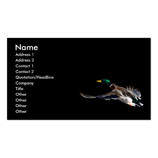 profile or business card, duck (front side)