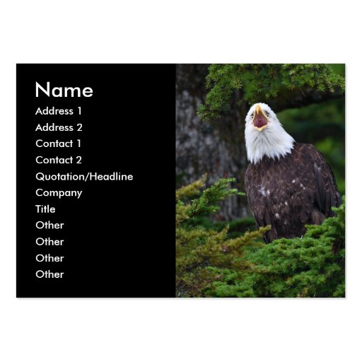 profile or business card, eagle
