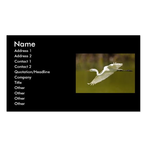 profile or business card, egret (front side)