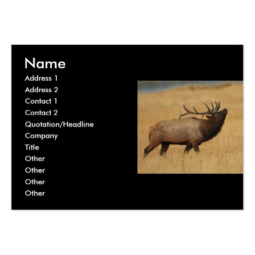 profile or business card, elk (front side)