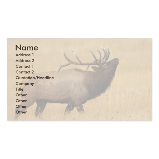 profile or business card, elk (front side)