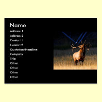 profile or business card, elk business cards