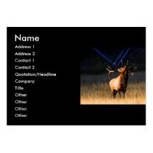 profile or business card, elk