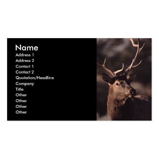 profile or business card, elk