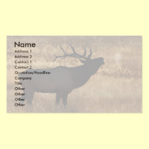 profile or business card, elk bugle business cards