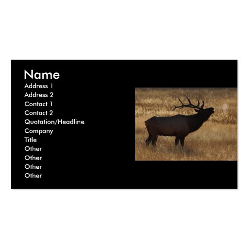 profile or business card, elk bugle (front side)