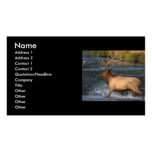 profile or business card, elk splash (front side)