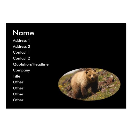 profile or business card, grizzly bear (front side)