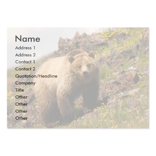 profile or business card, grizzly bear (front side)