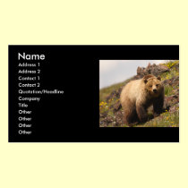 profile or business card, grizzly bear business cards