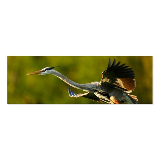profile or business card, heron (back side)