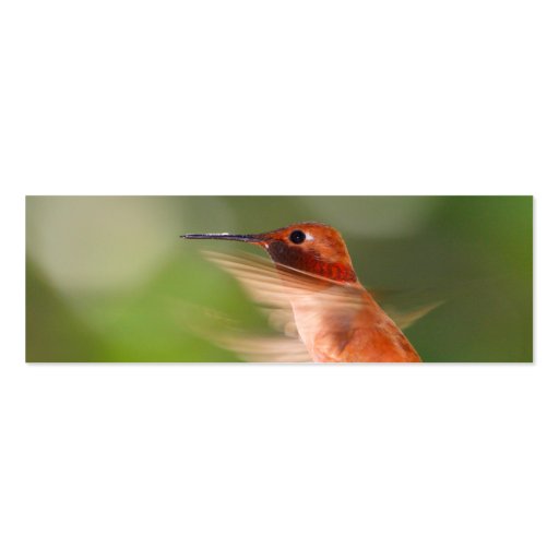 profile or business card, hummingbird (back side)