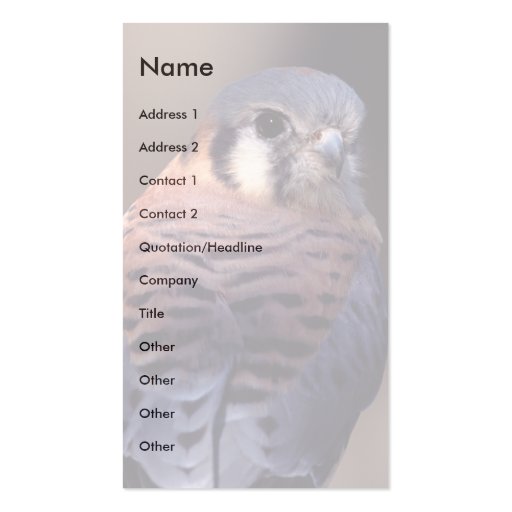 profile or business card, kestrel