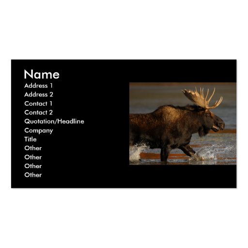 profile or business card, moose