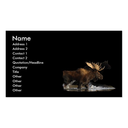 profile or business card, moose splash (front side)