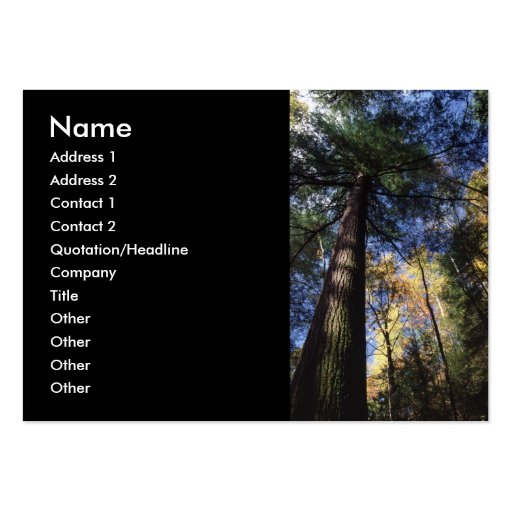 profile or business card, old growth (front side)