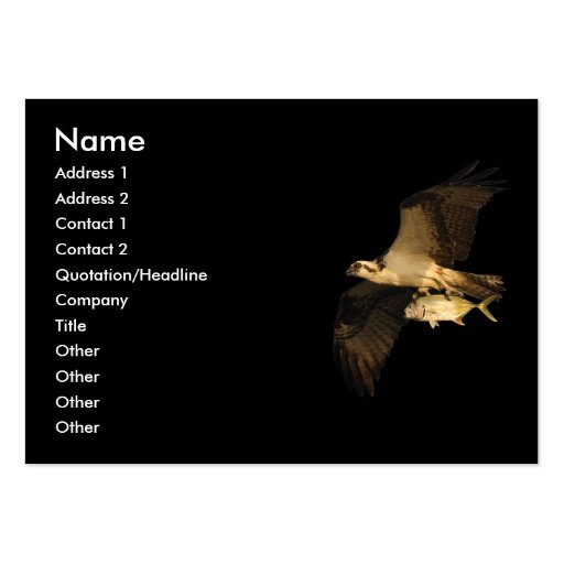 profile or business card, osprey