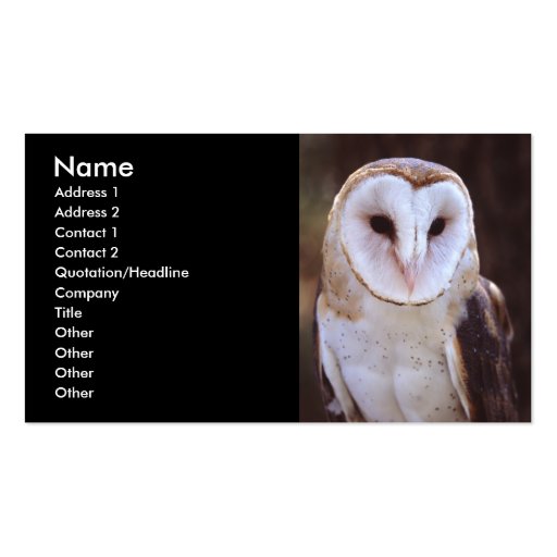 profile or business card, owl