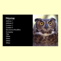 profile or business card, owl business cards