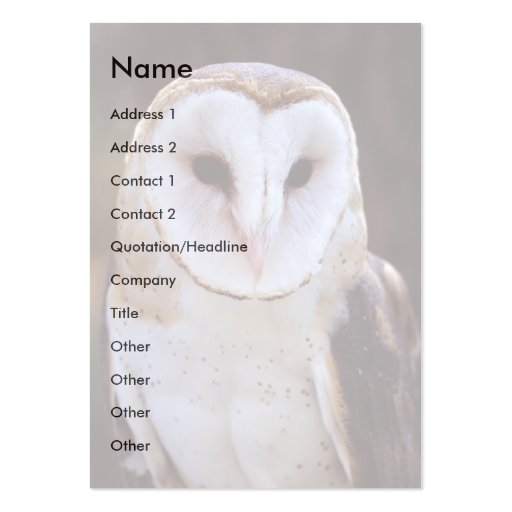 profile or business card, owl (front side)