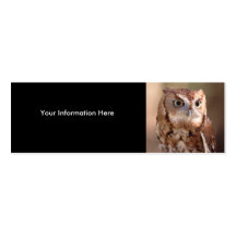 profile or business card, owl