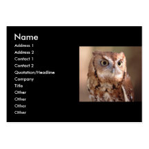 profile or business card, owl