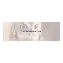 profile or business card, owl