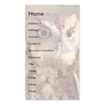 profile or business card, owl