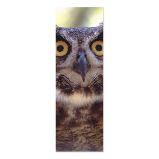 profile or business card, owl (back side)