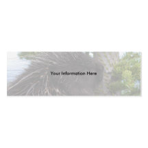 profile or business card, porcupine
