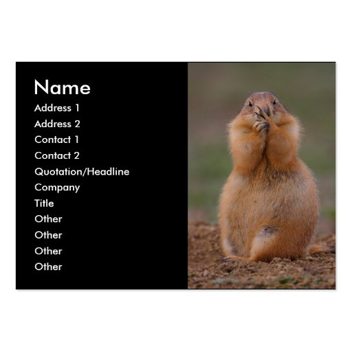 profile or business card, prairie dog