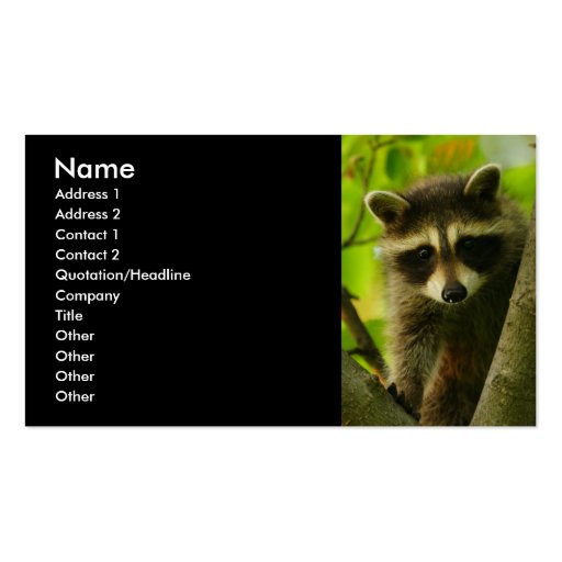 profile or business card, raccoon