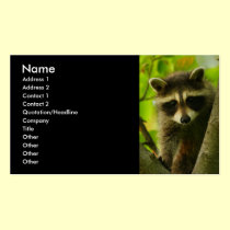 profile or business card, raccoon business cards