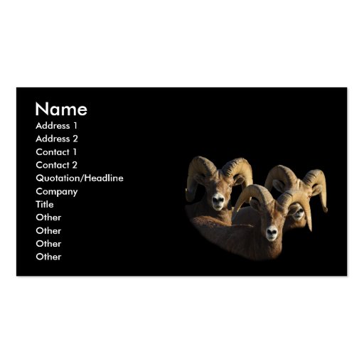 profile or business card, rams (front side)