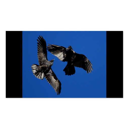 profile or business card, ravens (back side)