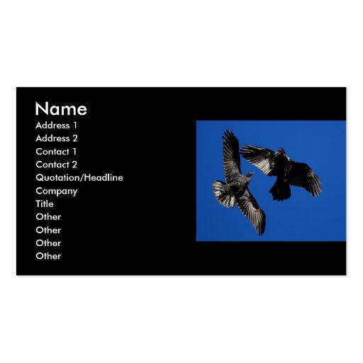 profile or business card, ravens (front side)