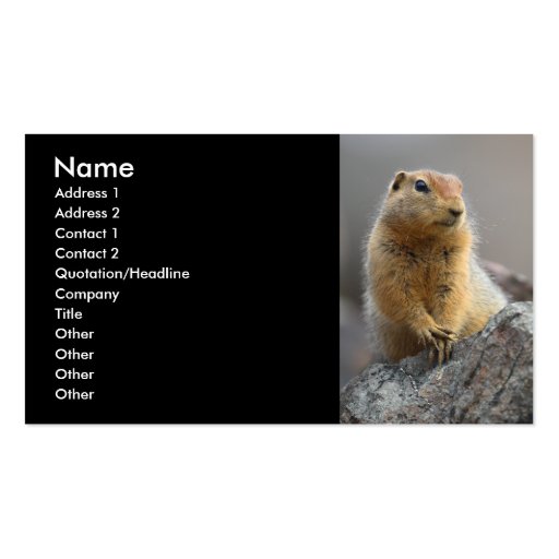 profile or business card, squirrel (front side)