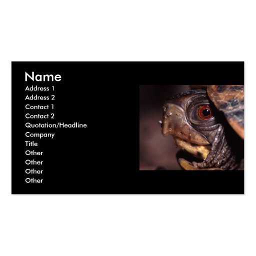 profile or business card, turtle (front side)