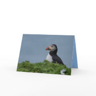 Profile Puffin card