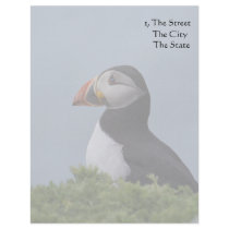 Profile Puffin Letterhead