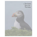 Profile Puffin Letterhead