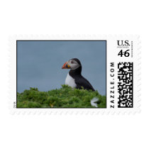 Profile Puffin postage