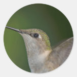 Profile Round Sticker