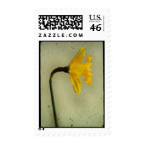 profiol di un trombone postage