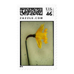 profiol di un trombone postage