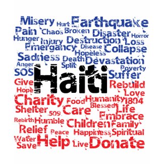 Profits to Unicef - Haiti Tags shirt